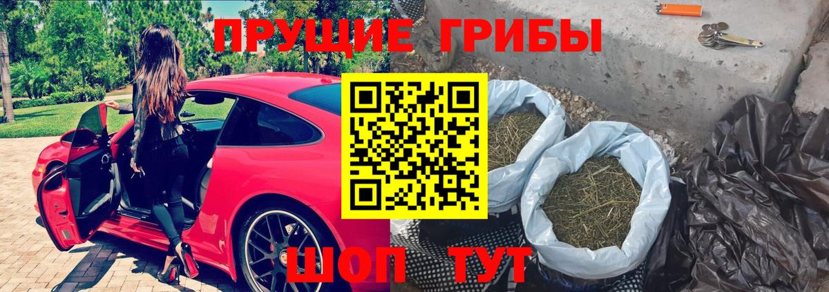 Галлюциногенные грибы мухоморы Магадан