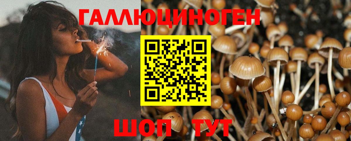Псилоцибиновые грибы MAGIC MUSHROOMS  Вход с VPN  Магадан 
